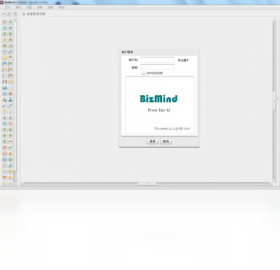 bizmind