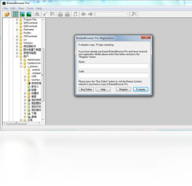 BreezeBrowser
