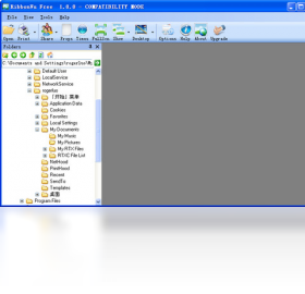 RibonVu Image Viewer