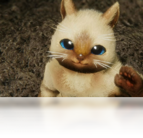 《怪物猎人OL》主题硬件测试程序