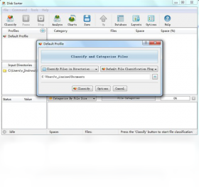 DiskSorter Pro