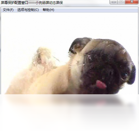狗狗舔屏动态屏保