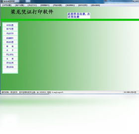 梁龙凭证打印