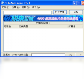 FileAnalysis