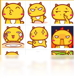 哈咪猫表情包