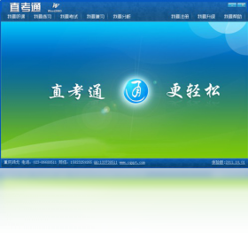 直考通之Word2003