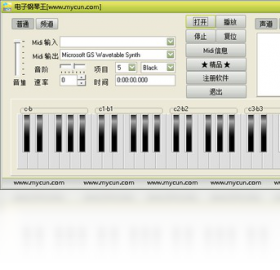 电子钢琴王