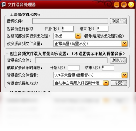 混录天王