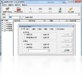批量更名专家