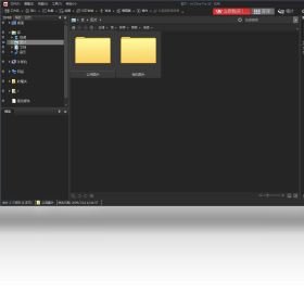 ACDSee Pro
