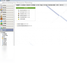 MicroERP