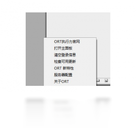 ORT执行力管理平台