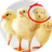 脑洞找奇怪（微信小游戏）
