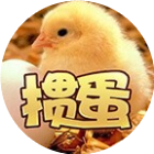 掼蛋